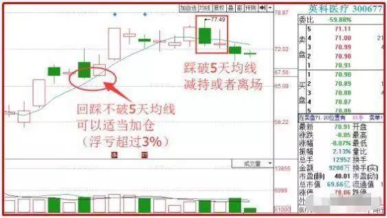 新澳门天天彩期期精准,目前现象解析描述_仿真版70.938